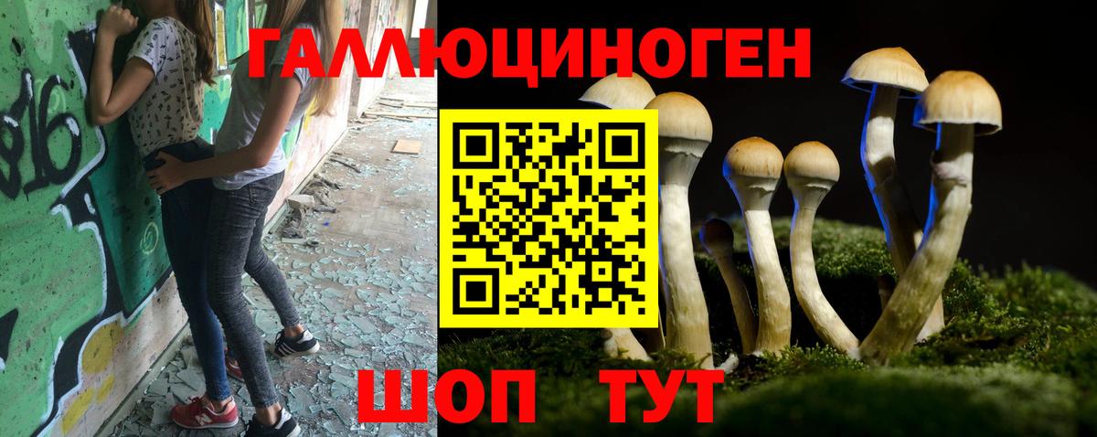 Галлюциногенные грибы Magic Shrooms  где купить   Топки  Вход с VPN 